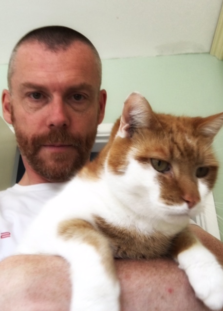 Fluffies with ginger and white cat